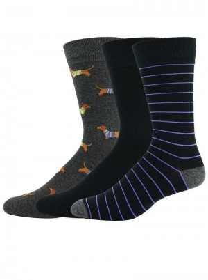 Robert Graham Dachshund 3 Pack Socks Multi | 396QURFOG