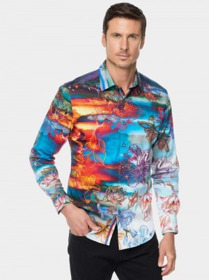 Robert Graham Inverness Long Sleeve Button Down Shirt Multi | 506LNVJQZ