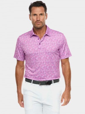 Robert Graham Iron Play Knit Polo Berry | 476IVBCHW