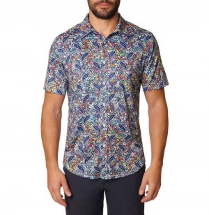 Robert Graham Padova Short Sleeve Knit Shirt Multi | 529GEXVBA