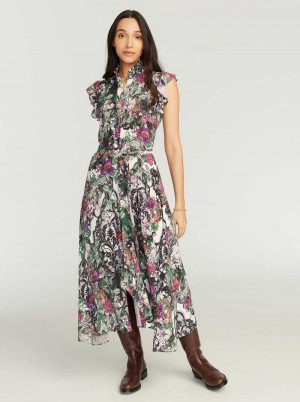 Robert Graham Sadie Dress Multi | 861SPONYJ