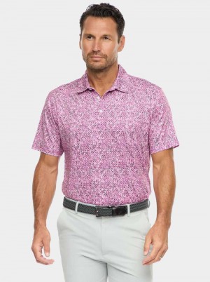 Robert Graham Torin Short Sleeve Knit Polo Blu Marino | 472WRVSHP