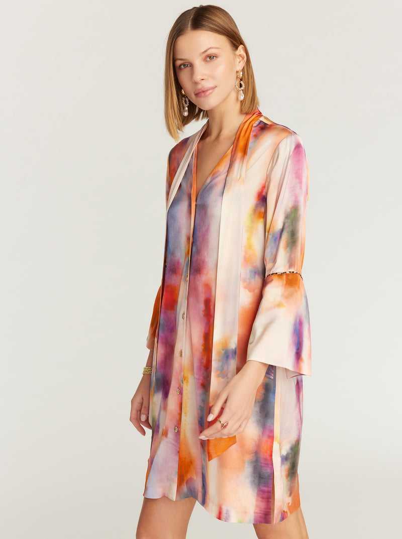 Robert Graham Brenna Dress Multi | 743NHSEPM