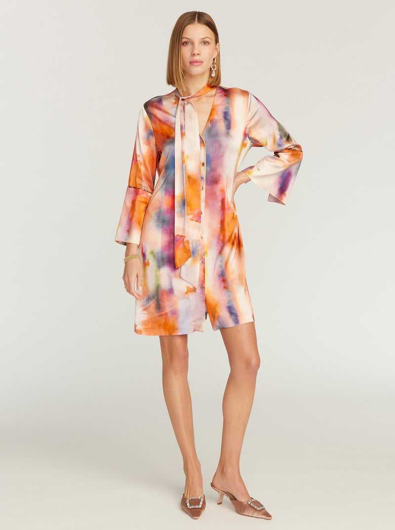 Robert Graham Brenna Dress Multi | 743NHSEPM