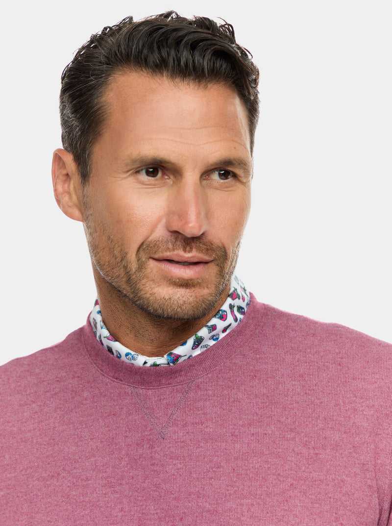 Robert Graham Colbourne Knit Shirt Berry | 908AESOQX