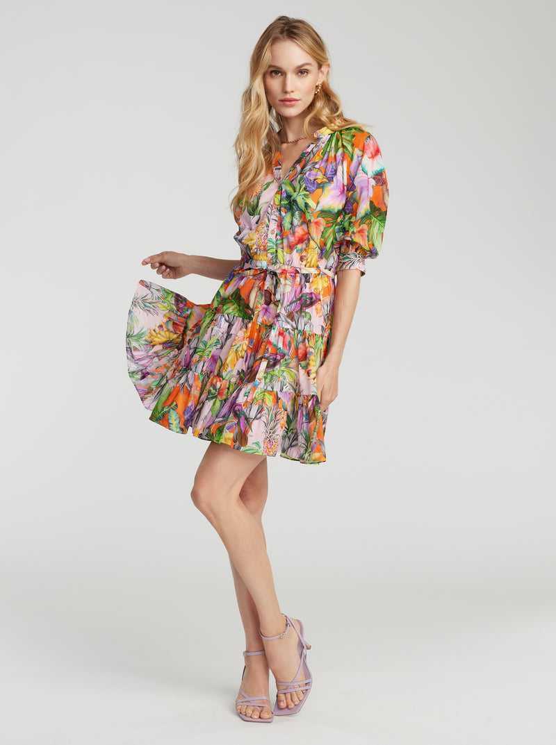 Robert Graham Sydney Dress Multi | 095ENOZGS