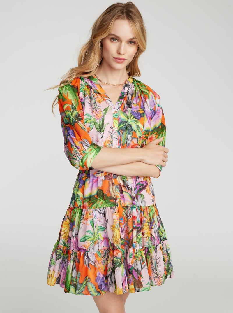 Robert Graham Sydney Dress Multi | 095ENOZGS